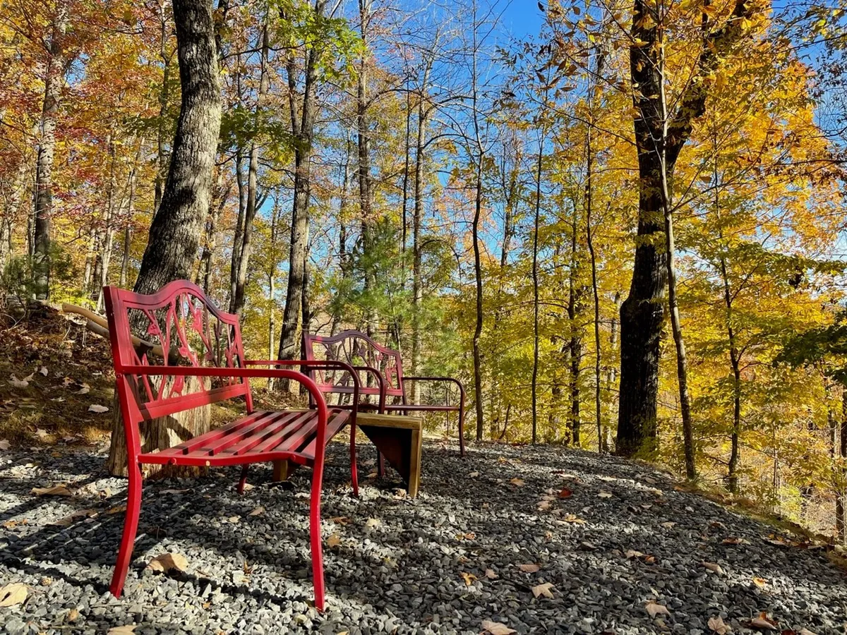 A peaceful outdoor setting with red benches placed along a gravel pathway, surrounded by vibrant autumn leaves. The scene is serene and inviting, perfect for relaxation or enjoying the changing seasons with friends or family.