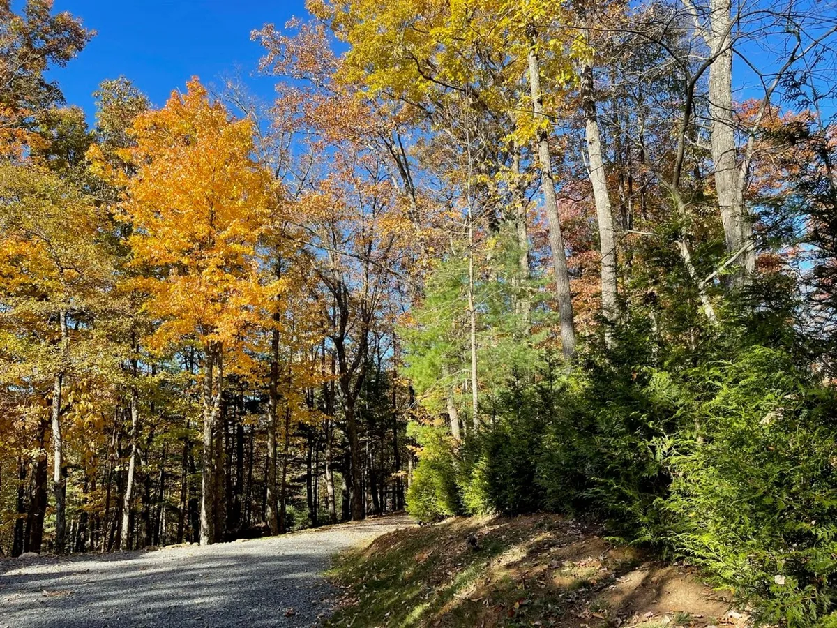 A gravel pathway winds through vibrant autumn foliage and tall trees, creating a scenic natural setting for walks and exploration. The bright colors and open space evoke a sense of peaceful adventure in the High Country.